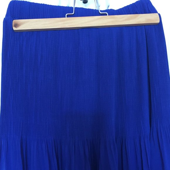 NWOT Chiffon Pleated Skirt - Picture 3 of 7